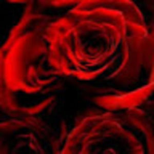 Meet your Posher, Leanna